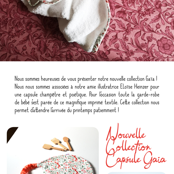 newsletter-collection-gaiaessaisite_02