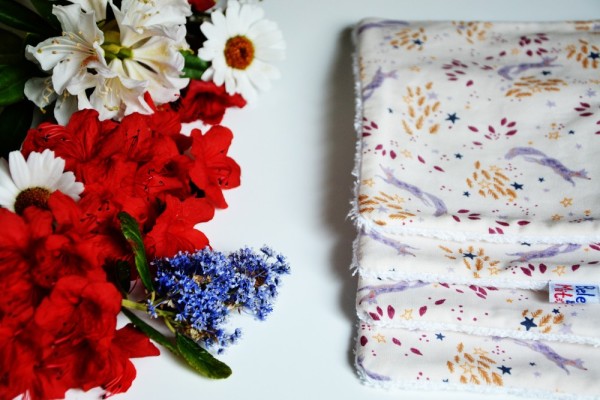 Lot de 4 lingettes XL Fox